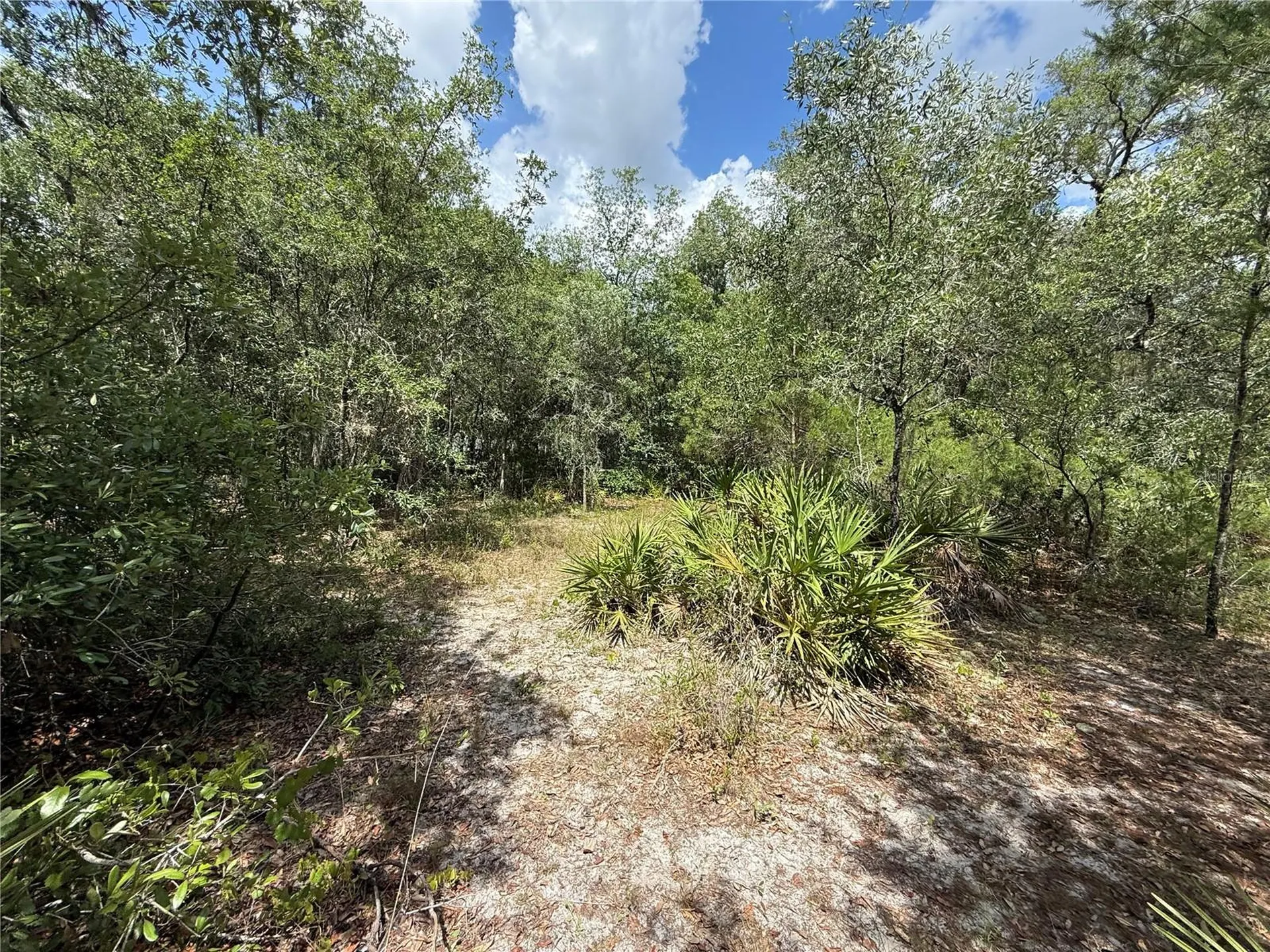 11748 Turkey Lane New Port Richey FL 34654