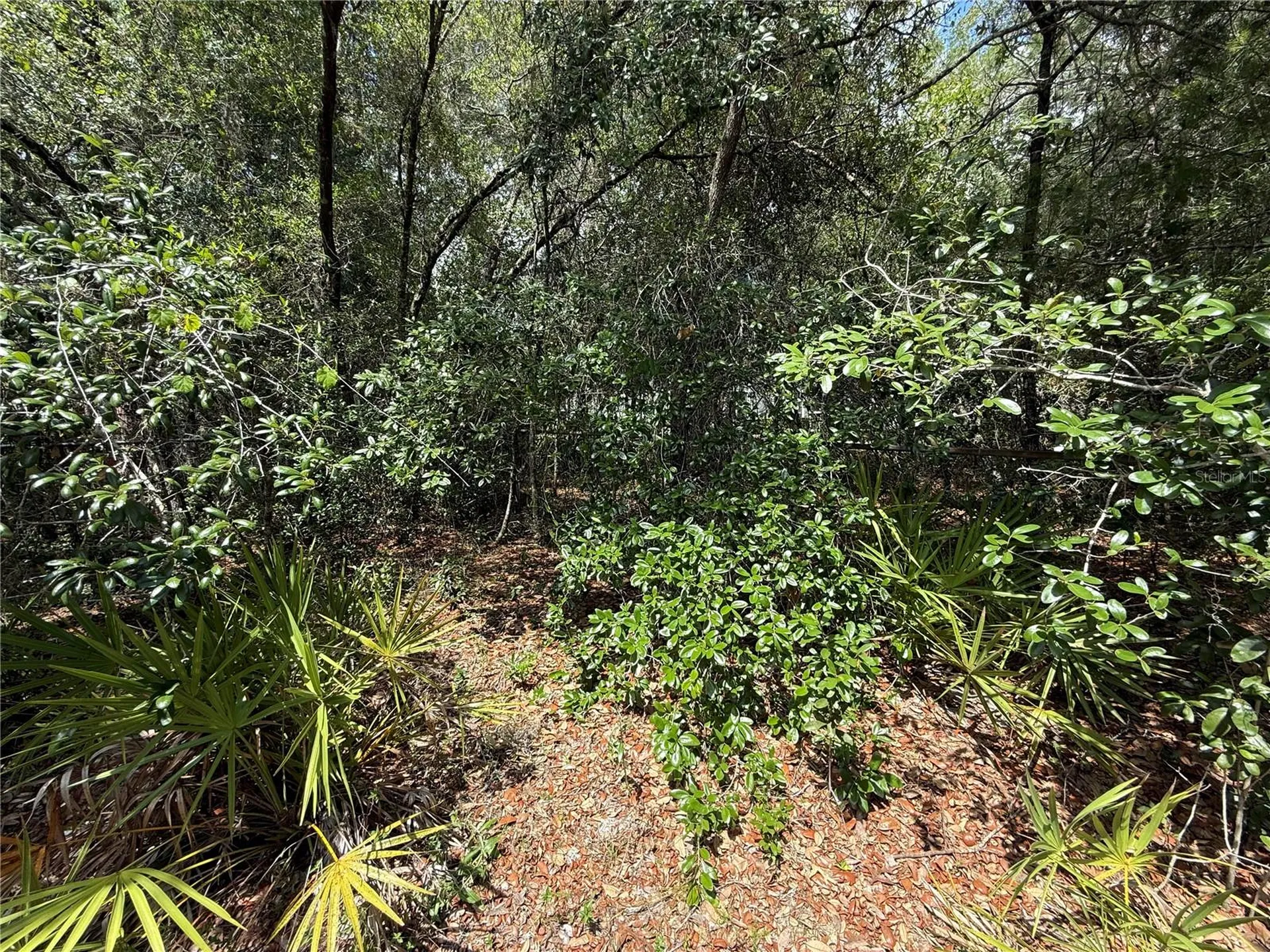 11748 Turkey Lane New Port Richey FL 34654