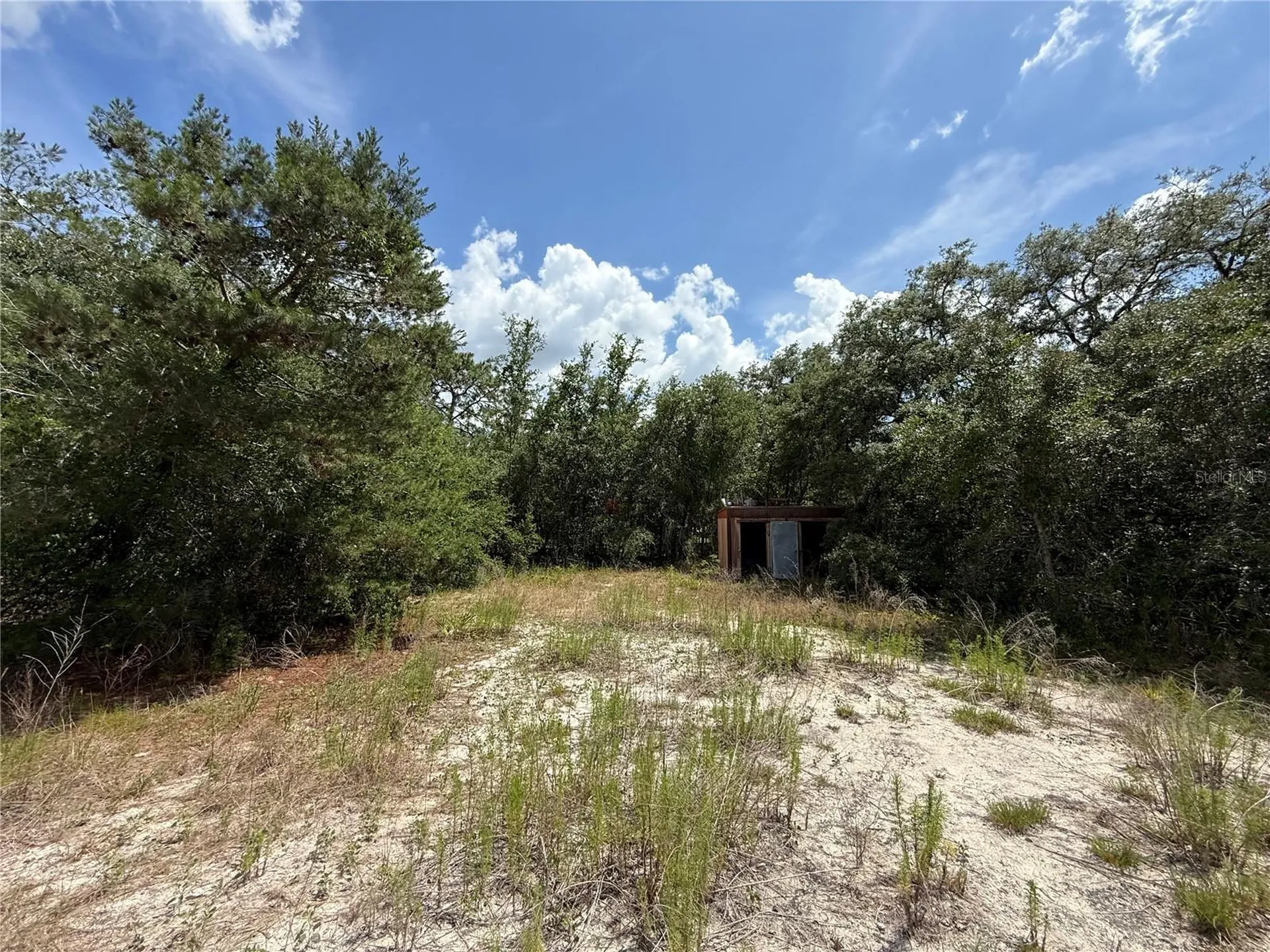 11748 Turkey Lane New Port Richey FL 34654