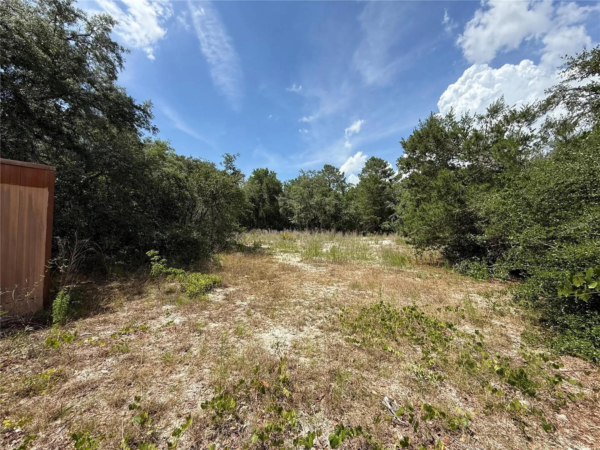 11748 Turkey Lane New Port Richey FL 34654