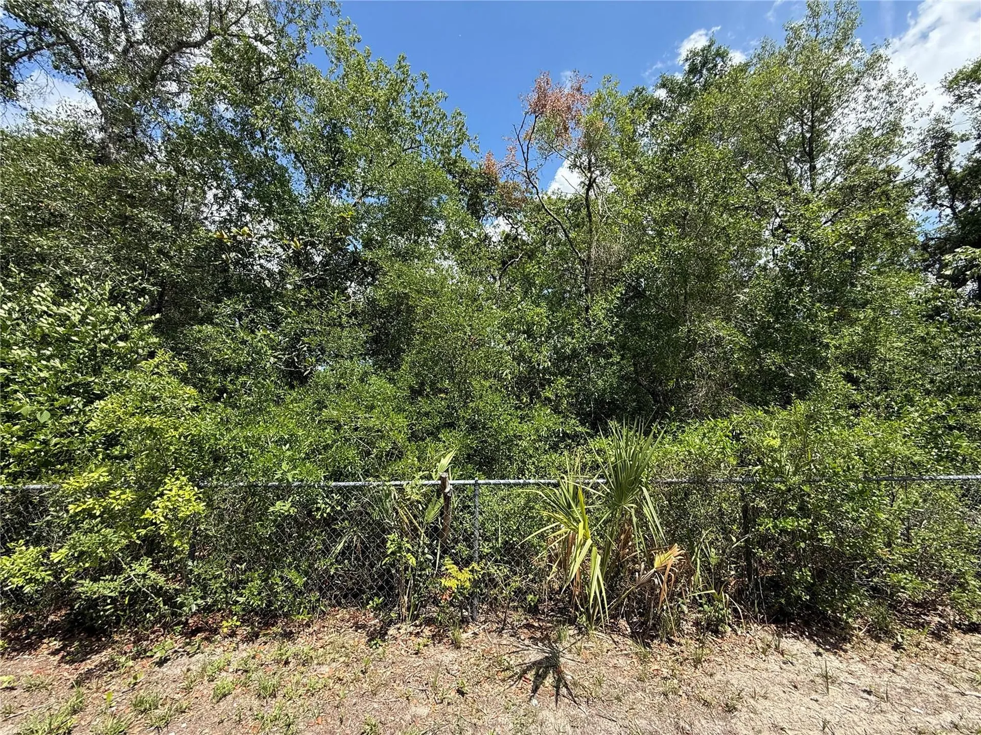 11748 Turkey Lane New Port Richey FL 34654