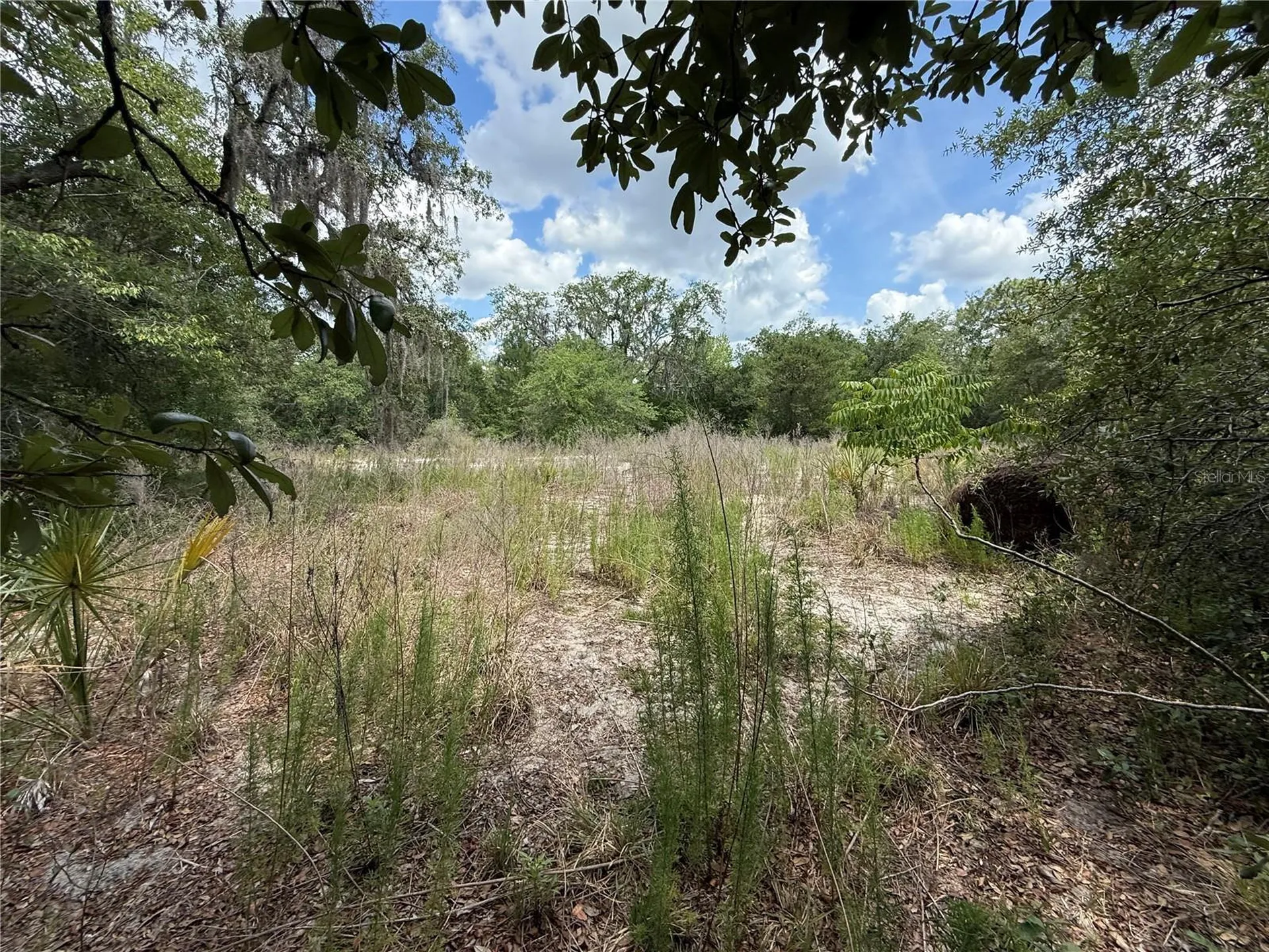 11748 Turkey Lane New Port Richey FL 34654