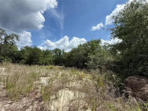11748 Turkey Lane New Port Richey FL 34654