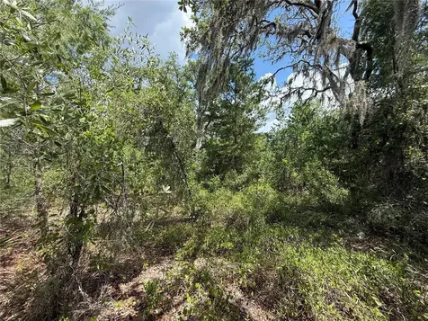 11748 Turkey Lane New Port Richey FL 34654