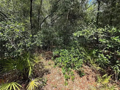 11748 Turkey Lane New Port Richey FL 34654