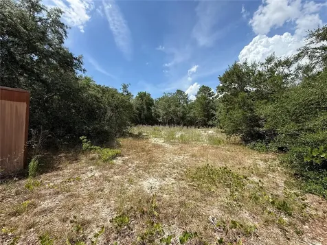 11748 Turkey Lane New Port Richey FL 34654