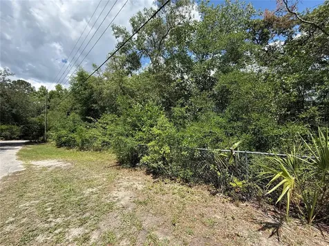 11748 Turkey Lane New Port Richey FL 34654