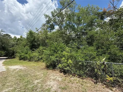 11748 Turkey Lane New Port Richey FL 34654