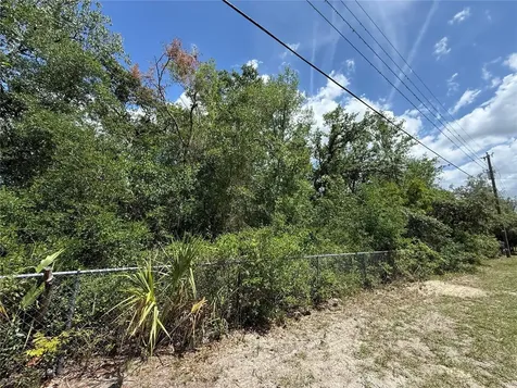 11748 Turkey Lane New Port Richey FL 34654