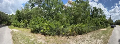 11748 Turkey Lane New Port Richey FL 34654