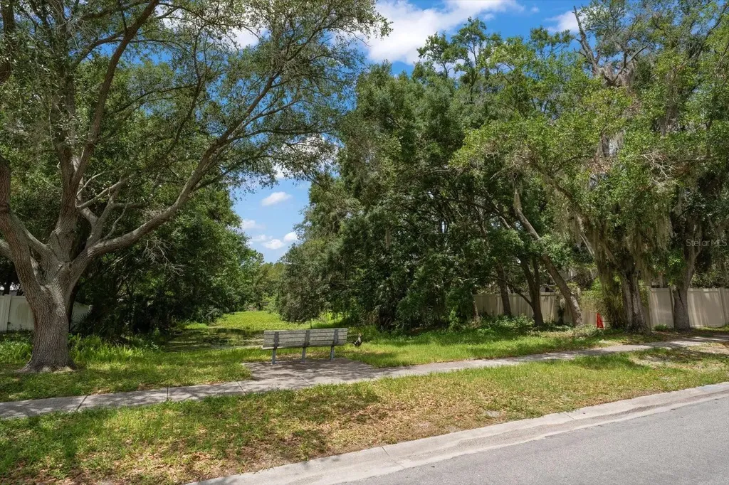 3408 Cullendale Drive Tampa FL 33618