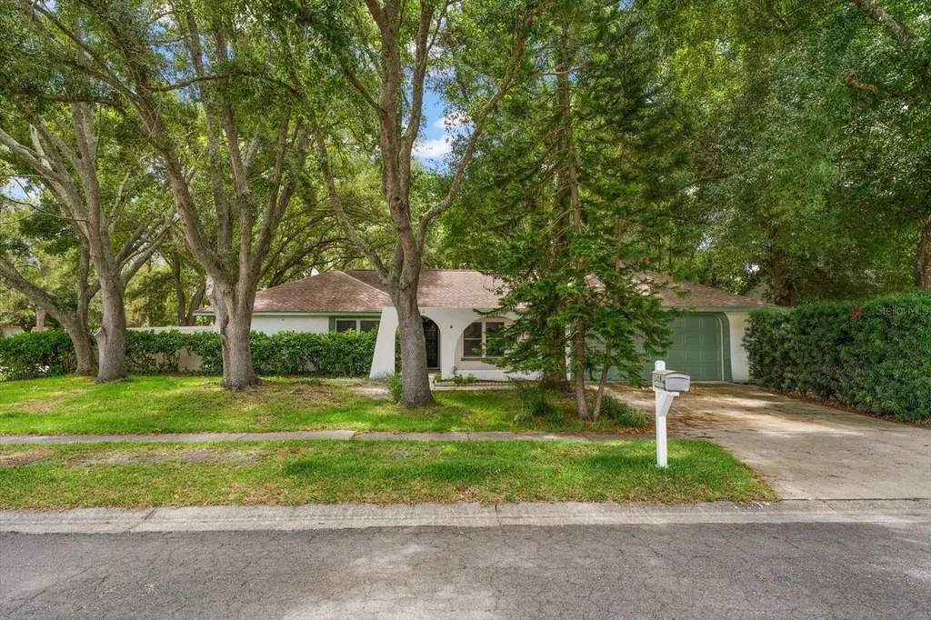 3408 Cullendale Drive Tampa FL 33618