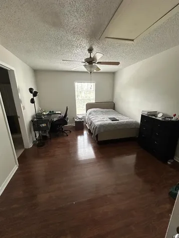 5154 Sunridge Palms Drive Tampa FL 33617