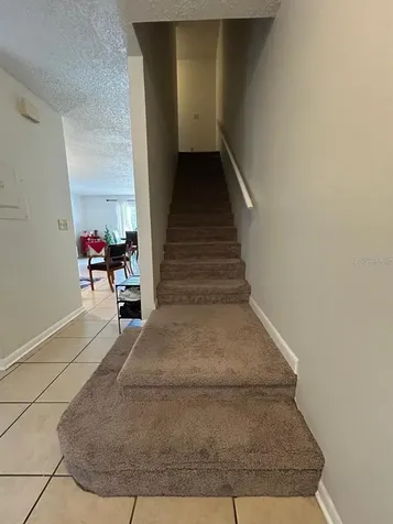 5154 Sunridge Palms Drive Tampa FL 33617