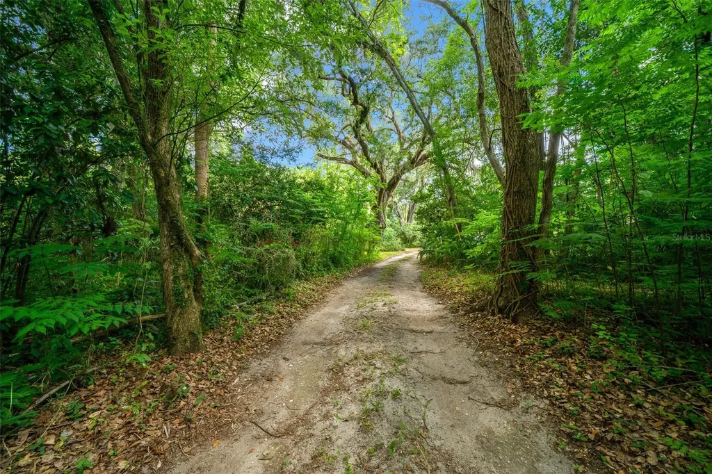 1985 NE 97th Streed Road Anthony FL 32617
