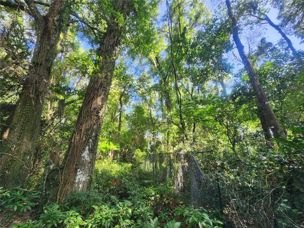 1985 NE 97th Streed Road Anthony FL 32617