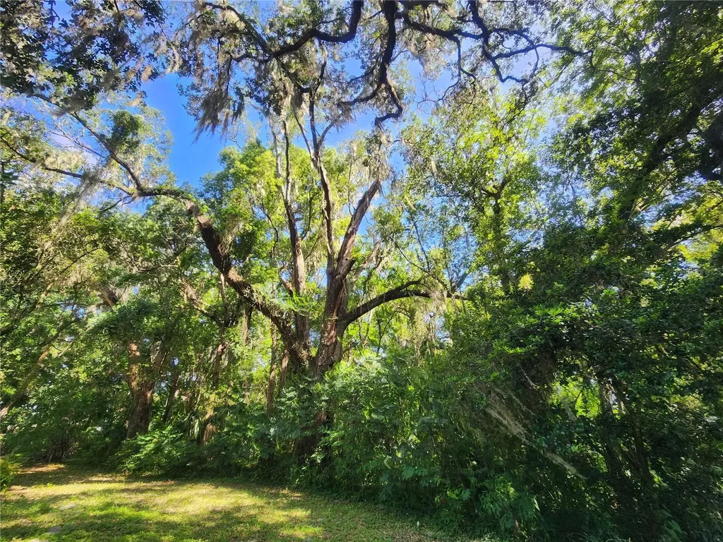 1985 NE 97th Streed Road Anthony FL 32617