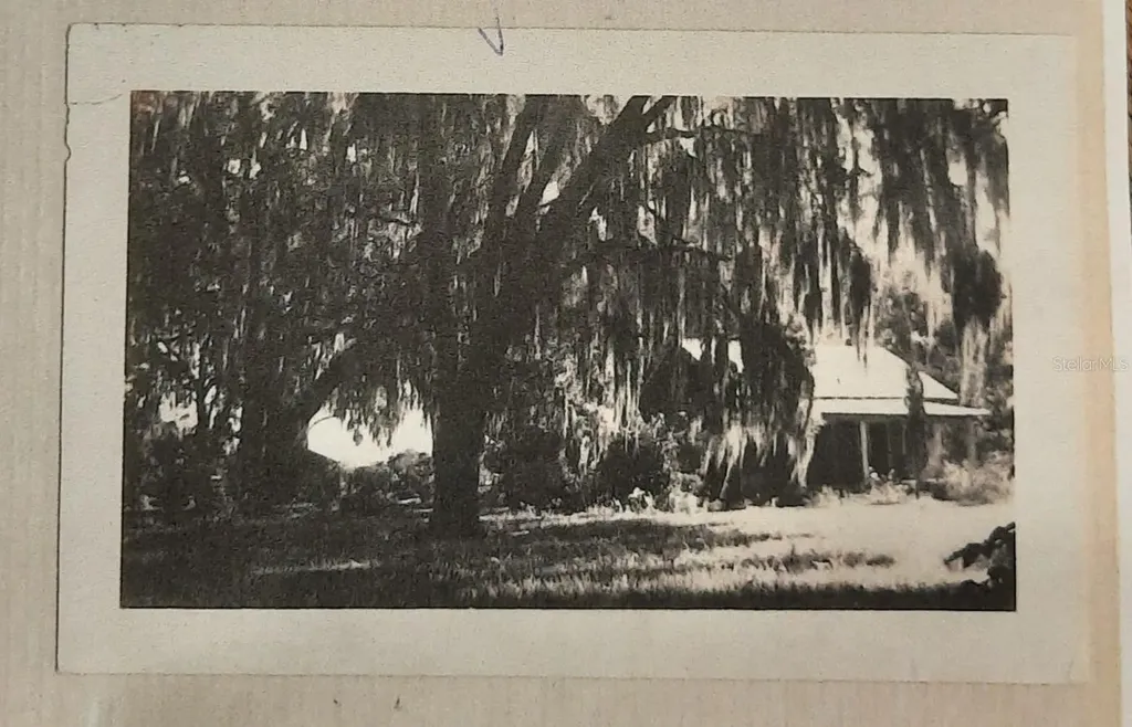 1985 NE 97th Streed Road Anthony FL 32617
