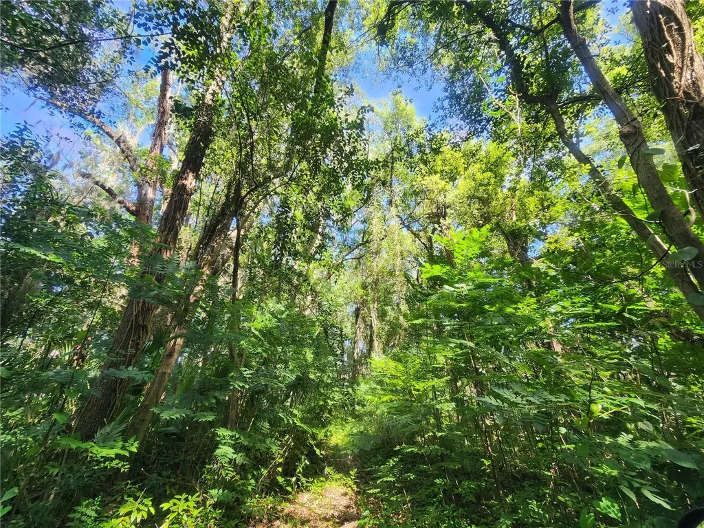 1985 NE 97th Streed Road Anthony FL 32617
