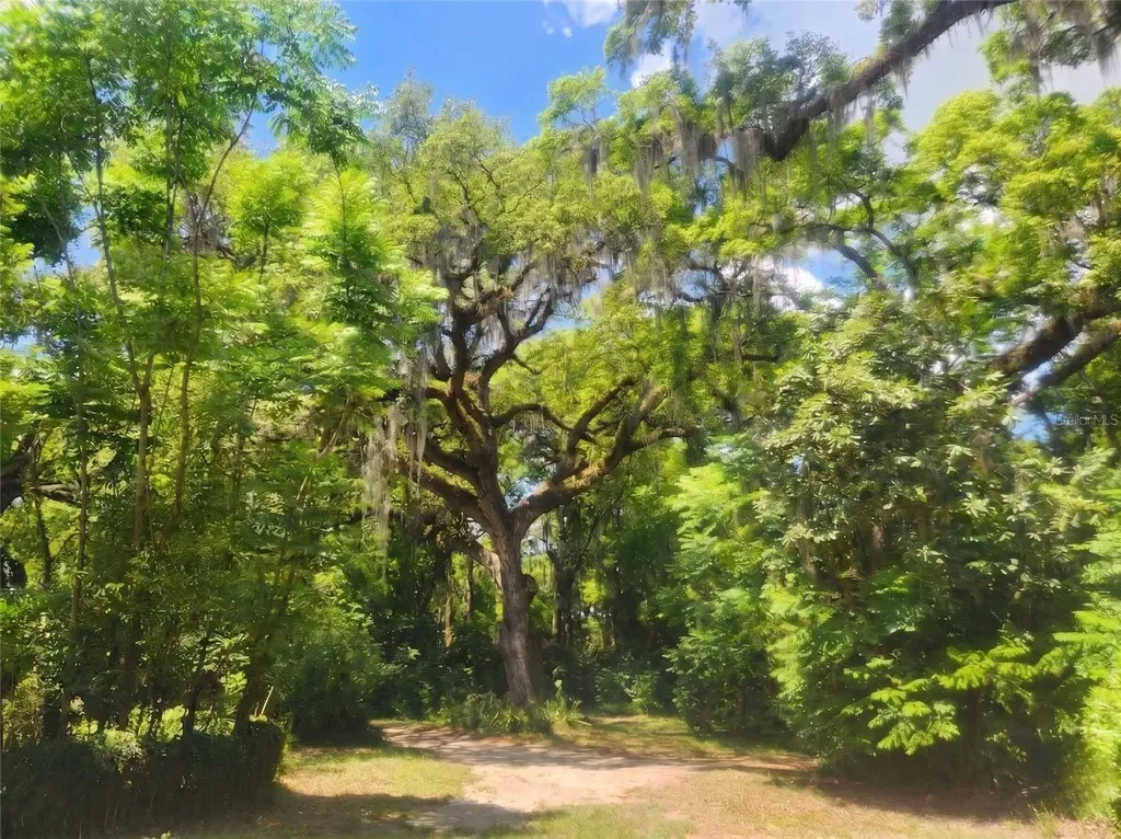 1985 NE 97th Streed Road Anthony FL 32617
