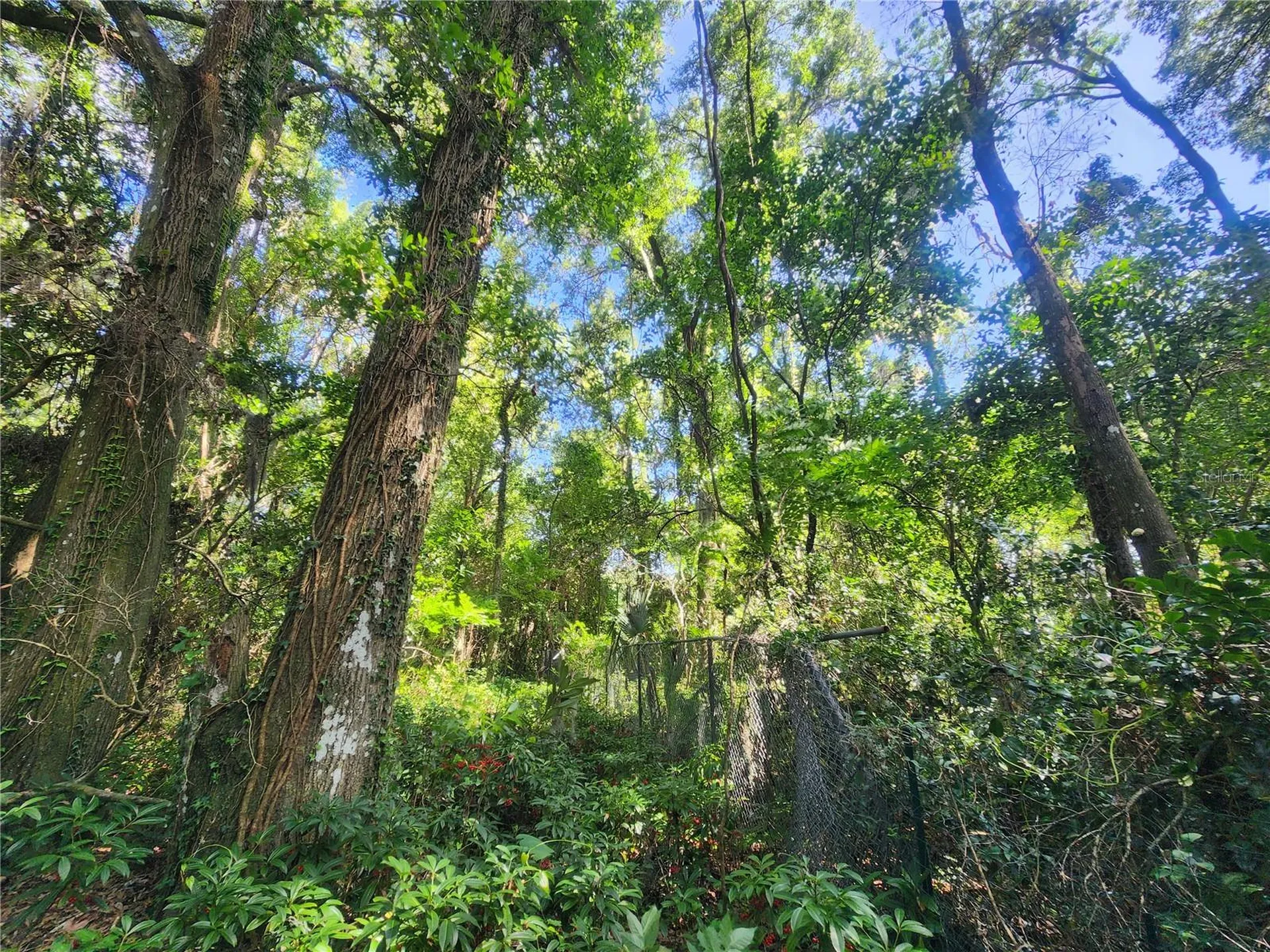 1985 NE 97th Streed Road Anthony FL 32617