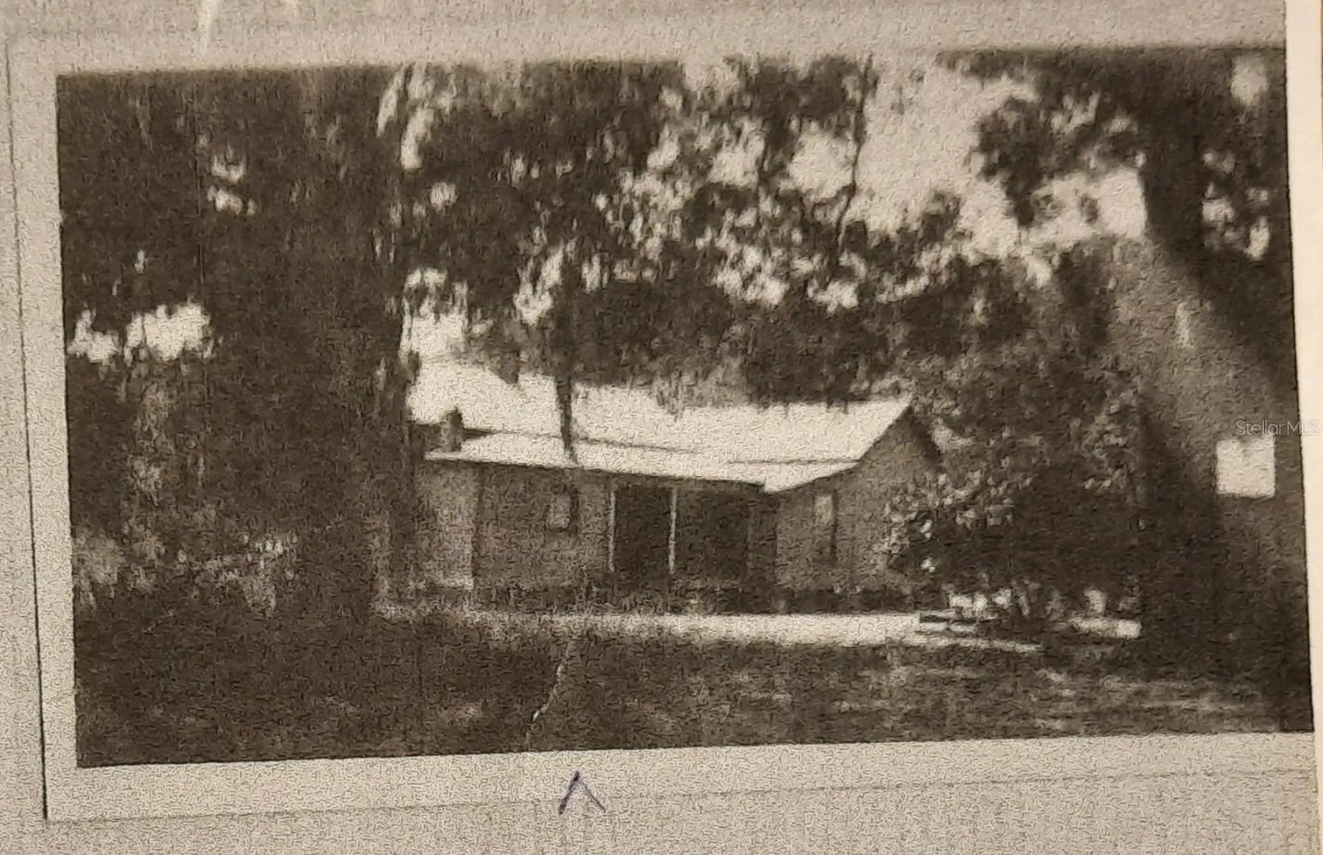 1985 NE 97th Streed Road Anthony FL 32617