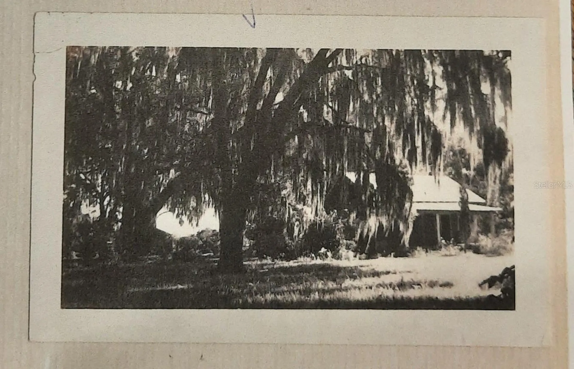 1985 NE 97th Streed Road Anthony FL 32617