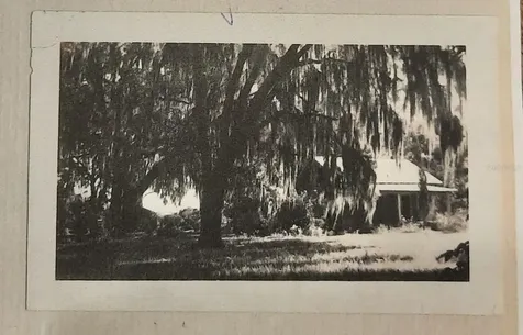 1985 NE 97th Streed Road Anthony FL 32617