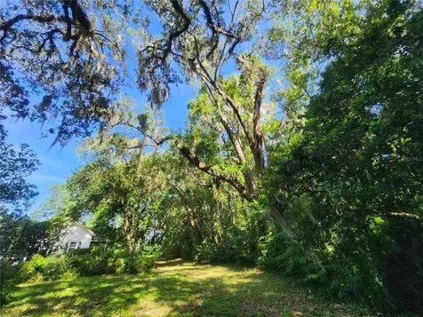 1985 NE 97th Streed Road Anthony FL 32617