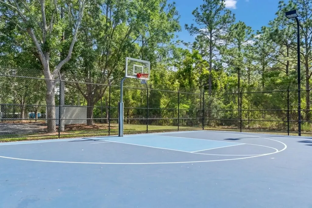 3763 Autumn Amber Drive Spring Hill FL 34609