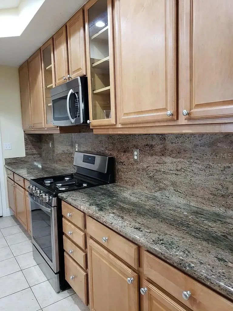 2889 Bayshore Trails Drive Tampa FL 33611