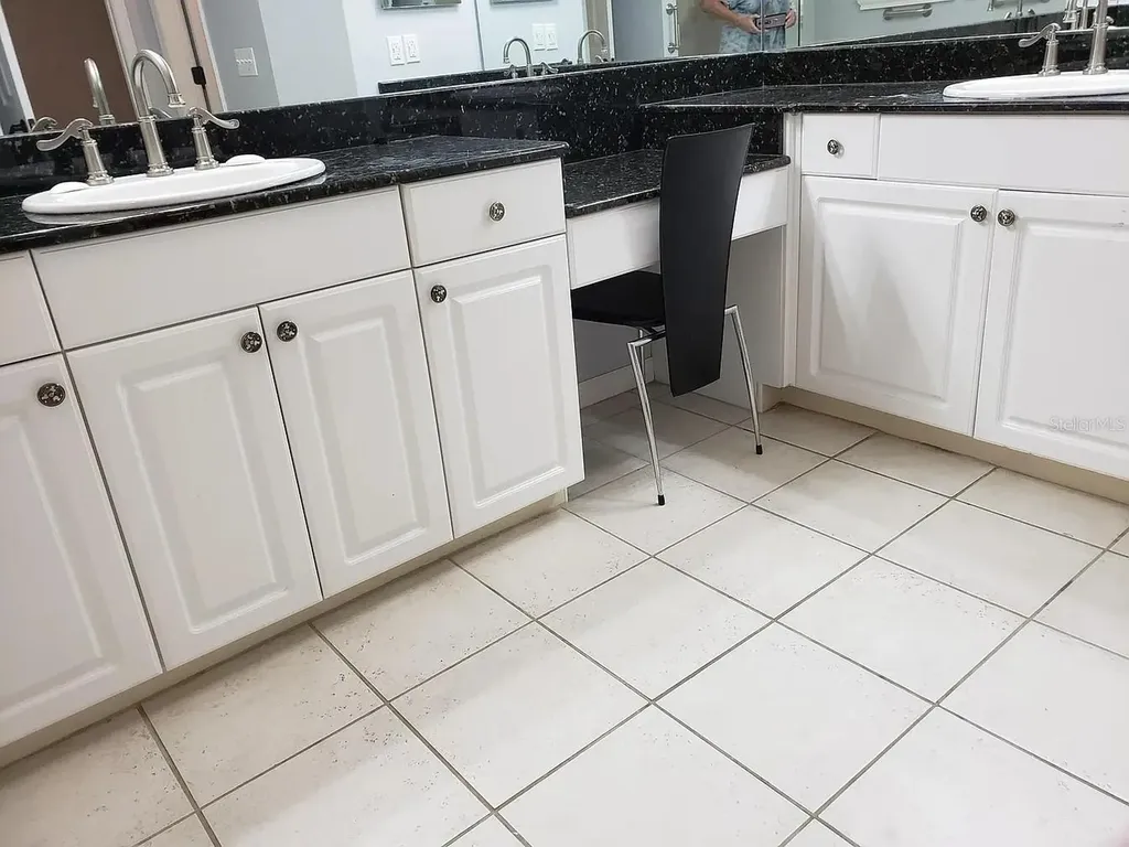 2889 Bayshore Trails Drive Tampa FL 33611