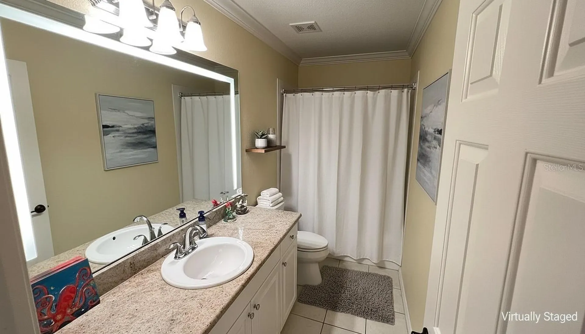2889 Bayshore Trails Drive Tampa FL 33611