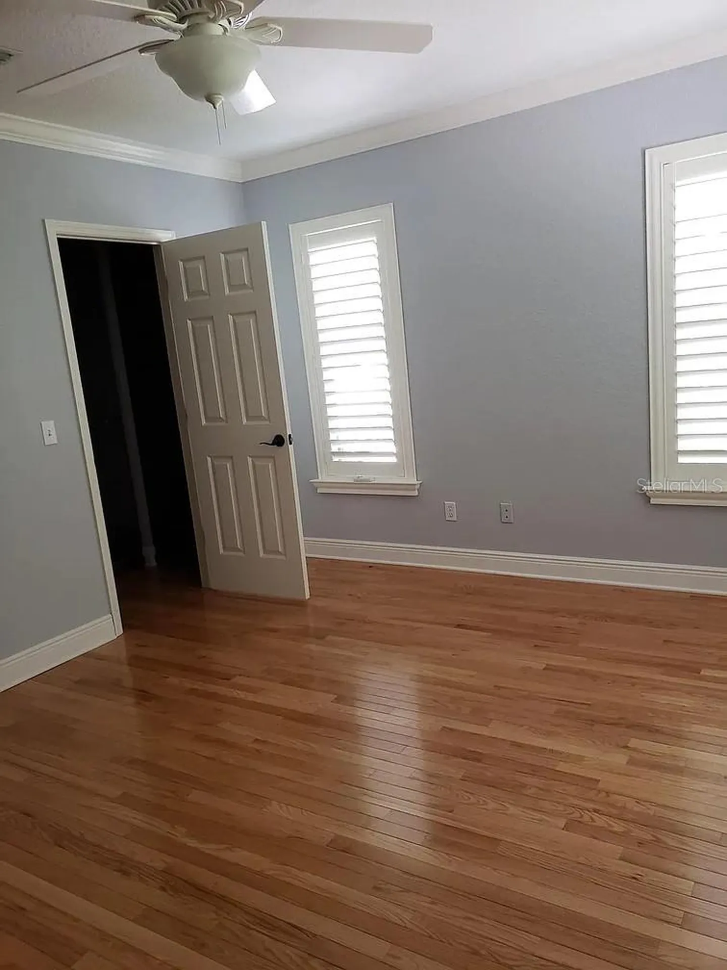2889 Bayshore Trails Drive Tampa FL 33611