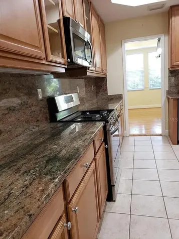 2889 Bayshore Trails Drive Tampa FL 33611