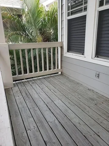 2889 Bayshore Trails Drive Tampa FL 33611