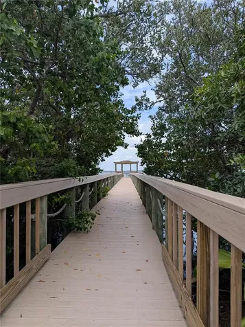 2889 Bayshore Trails Drive Tampa FL 33611