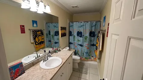 2889 Bayshore Trails Drive Tampa FL 33611