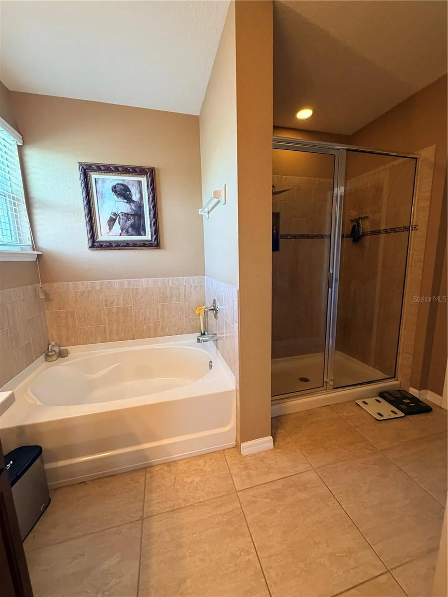 416 Bahama Grande Boulevard Apollo Beach FL 33572