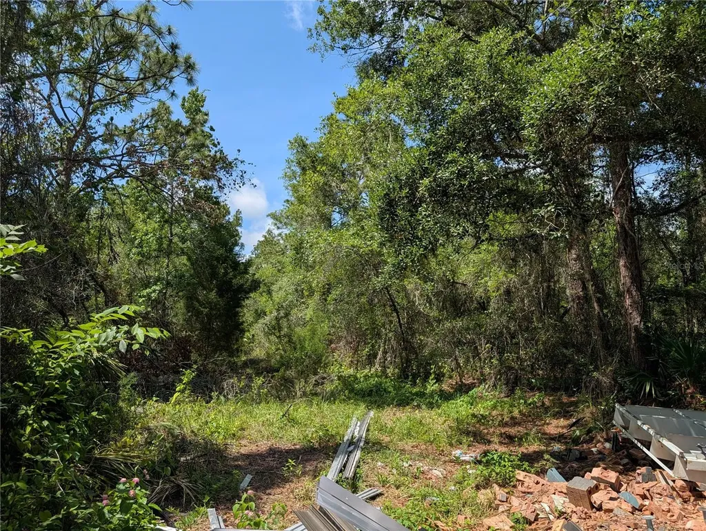 Tbd Shalimar New Port Richey FL 34654