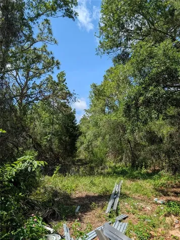 Tbd Shalimar New Port Richey FL 34654