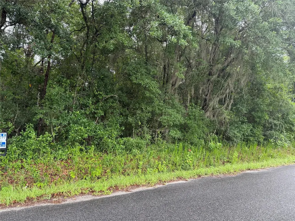 241 Dog Branch Road East Palatka FL 32131