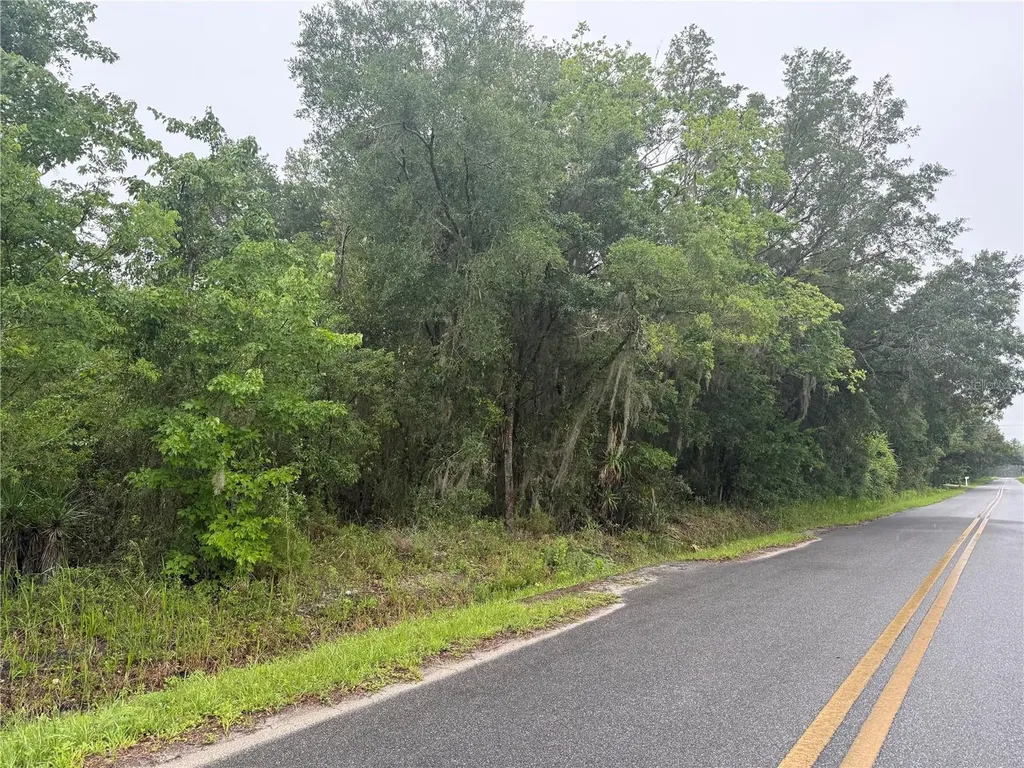241 Dog Branch Road East Palatka FL 32131