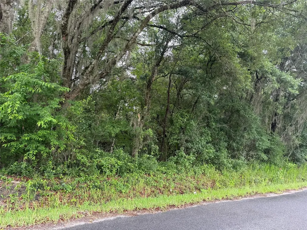241 Dog Branch Road East Palatka FL 32131