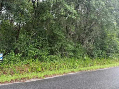 241 Dog Branch Road East Palatka FL 32131