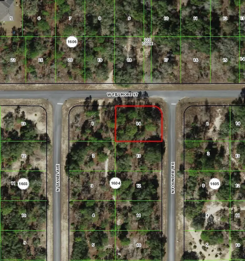 6716 N Founder Terrace Dunnellon FL 34433