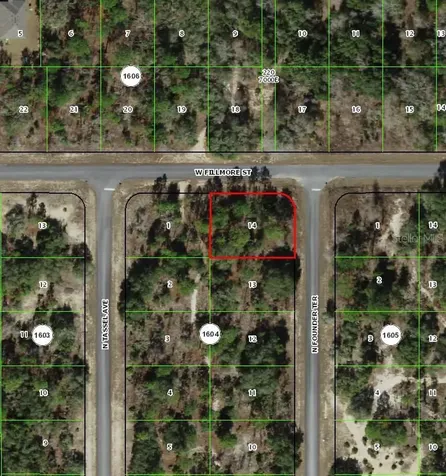 6716 N Founder Terrace Dunnellon FL 34433