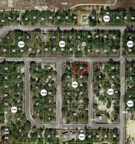 6716 N Founder Terrace Dunnellon FL 34433