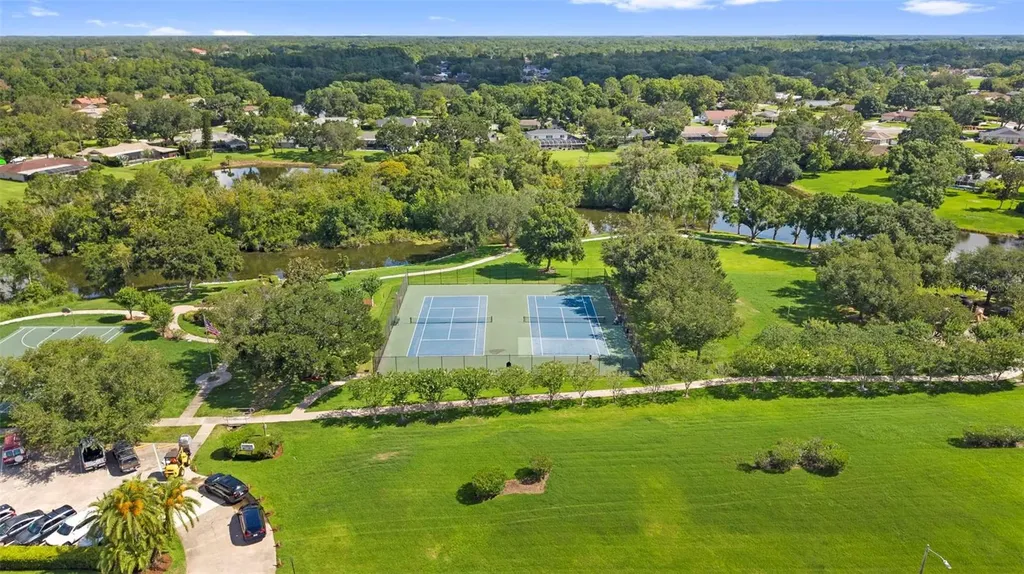 4308 Middle Lake Drive Tampa FL 33624