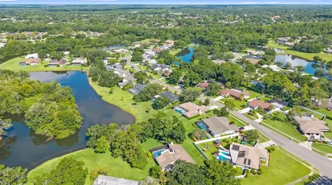 4308 Middle Lake Drive Tampa FL 33624